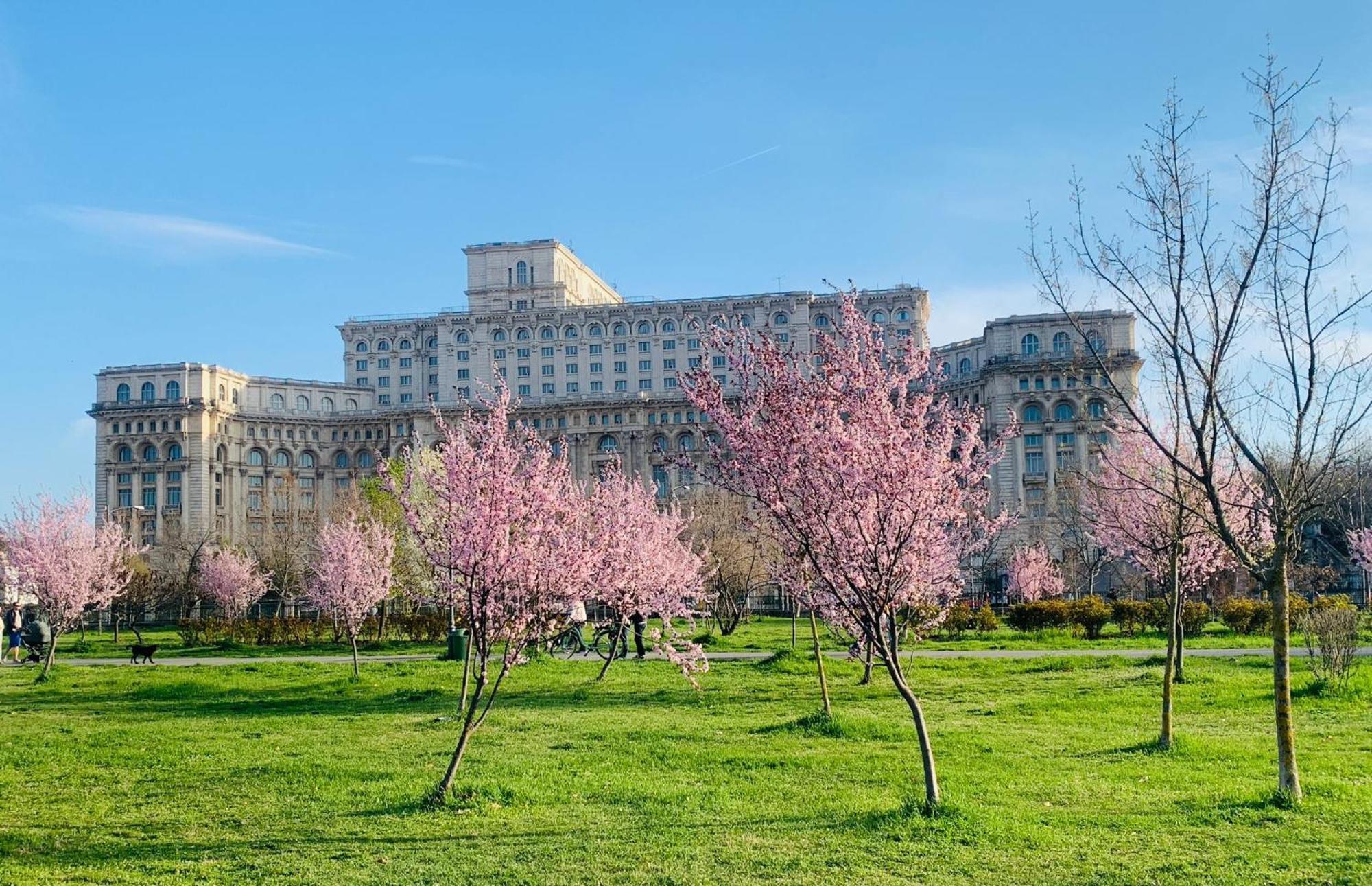 Chic Apartment Piata Constitutiei - View From The Balcony To The Palace Of Parliament Βουκουρέστι Εξωτερικό φωτογραφία